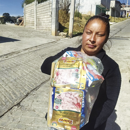 UNA SANA ALIMENTACIÓN FORMA UNA FAMILIA SALUDABLE